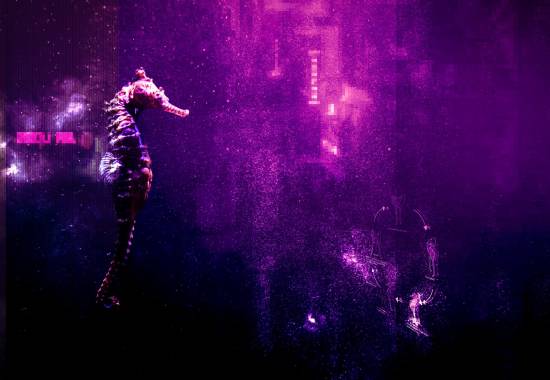 tpc_banner23_kodefri2